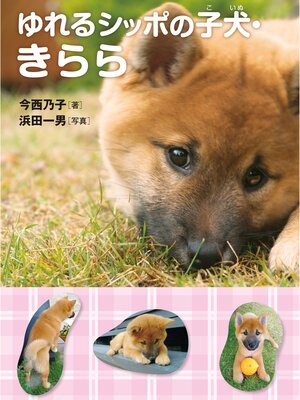 cover image of ゆれるシッポの子犬・きらら
